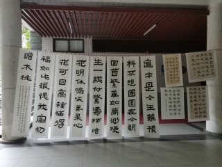 中文学院书法作品展示